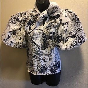 Jazzy Puffer Sleeve Blouse / Shirt